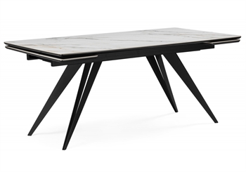 Дарвин 160(220)х89 белый с прожилками gilt white / черный 625989