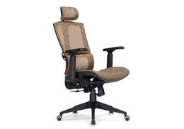 Lanus brown / black 15398