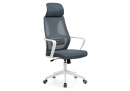Golem dark gray / white 15332