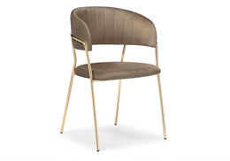 Kamelia cappuccino / gold 15318